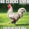 Willow Creek 2025 No Clucks Given 12" x 12" Monthly Wall Calendar (44216) Clearance