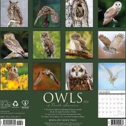 Willow Creek 2025 Owls 12" x 12" Monthly Wall Calendar (44315)