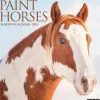 Willow Creek 2025 Paint Horses 12" x 12" Monthly Wall Calendar (44353) Discount