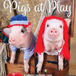 Willow Creek 2025 Pigs at Play 12" x 12" Monthly Wall Calendar (44469) Hot