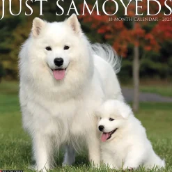 Willow Creek 2025 Press Just Samoyeds 2025 Wall Calendar 12" x 12" (44735) New