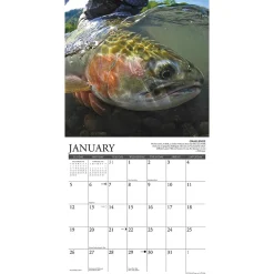 Willow Creek 2025 Press What Fly Fishing Teaches Us 2025 Wall Calendar 12