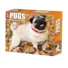Willow Creek 2025 Pugs 6" x 5.5" Day-to-Day Calendar (40997) Best