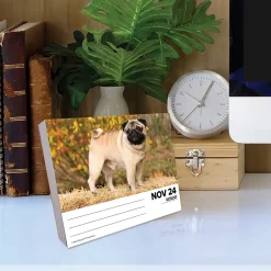 Willow Creek 2025 Pugs 6