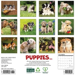 Willow Creek 2025 Puppies 7" x 7" Yearly Wall Calendar (45862) Hot
