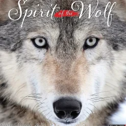 Willow Creek 2025 Spirit of the Wolf 12" x 12" Monthly Wall Calendar (45008) New