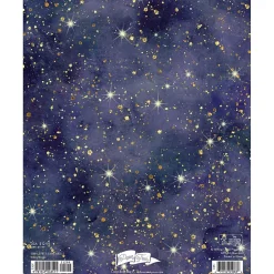 Willow Creek 2025 Starry Night 7.5" x 9.5" Monthly Planner Cover (48511)