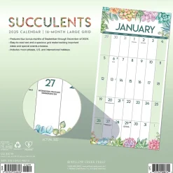 Willow Creek 2025 Succulents 12" x 12" Yearly Wall Calendar (46616) Clearance