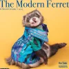 Willow Creek 2025 The Modern Ferret 12" x 12" Monthly Wall Calendar (43967) Discount