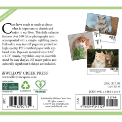 Willow Creek 2025 What Cats Teach Us 6" x 5.5" Day-to-Day Calendar (41109) Online