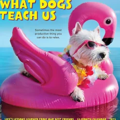 Willow Creek 2025 What Dogs Teach Us 12" x 12" Yearly Wall Calendar (45350) Sale