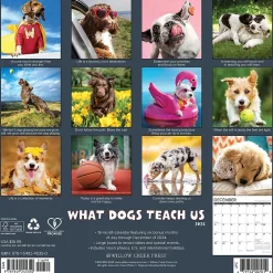 Willow Creek 2025 What Dogs Teach Us 12" x 12" Yearly Wall Calendar (45350) Sale