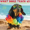 Willow Creek 2025 What Dogs Teach Us 7" x 7" Monthly Wall Calendar (46029)