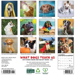 Willow Creek 2025 What Dogs Teach Us 7" x 7" Monthly Wall Calendar (46029)