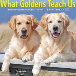 Willow Creek 2025 What Goldens Teach Us 12" x 12" Monthly Wall Calendar (45374) Hot