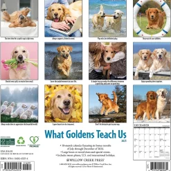 Willow Creek 2025 What Goldens Teach Us 12" x 12" Monthly Wall Calendar (45374) Hot