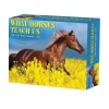 Willow Creek 2025 What Horses Teach Us 6" x 5.5" Day-to-Day Calendar (41123) Discount