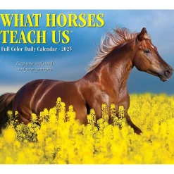 Willow Creek 2025 What Horses Teach Us 6