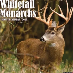 Willow Creek 2025 Whitetail Monarchs 12" x 12" Monthly Wall Calendar (45428) Best