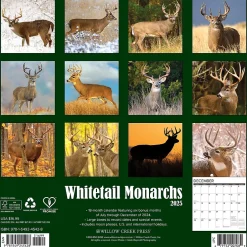 Willow Creek 2025 Whitetail Monarchs 12" x 12" Monthly Wall Calendar (45428) Best