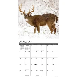 Willow Creek 2025 Whitetail Monarchs 12