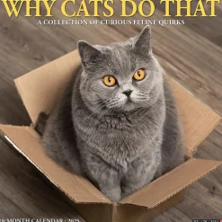 Willow Creek 2025 Why Cats Do That 12" x 12" Monthly Wall Calendar (45435) Sale