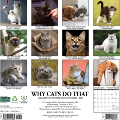 Willow Creek 2025 Why Cats Do That 12" x 12" Monthly Wall Calendar (45435) Sale