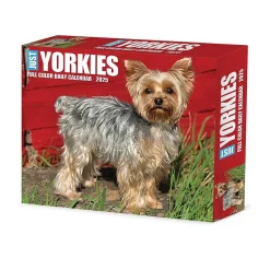 Willow Creek 2025 Yorkies 6" x 5.5" Day-to-Day Calendar (41130) Sale