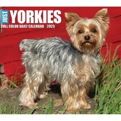 Willow Creek 2025 Yorkies 6