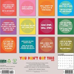 Willow Creek 2025 You Don't Got This 12" x 12" Monthly Wall Calendar (45565) Best