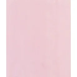Partners Brand 5" x 8" Layflat Poly Bags, 2 Mil, Pink, 1000/Carton (PBAS630)* Layflat Bags