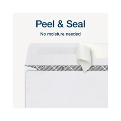 Adams 2024 Self-Seal Security-Tinted Double-Window 1099 Tax Envelope, 9