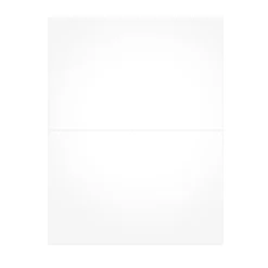 Sale 2024 W-2 Blank Laser/Inkject Tax Forms, 100/pack (BLW2Q) Tax Forms