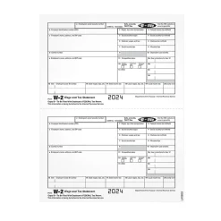 New 2024 W-2 1-Part Copy B Laser/Inkject Tax Forms, 100/pack (LW2EEBQ) Tax Forms