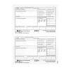 2024 W-2 1-Part Copy 1/D Laser/Inkject Tax Forms, 100/pack (LW2ERQ) Tax Forms