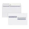 Adams Self Seal Security Tinted Double Window W-2 Tax Form Envelope, White, 100/Pack (DW4ALTPS100)* Security Tinted
