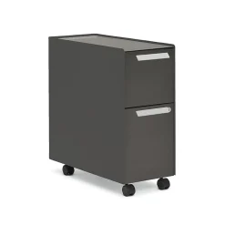 Hot Radii 2-Drawer Mobile Vertical File Cabinet, Letter/Legal Size, Lockable, 21"H x 10"W x 24"D, Flint (APGMBS249TFN001) File Cabinets