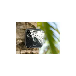 Security Cameras & Systems<Blink Amazon Outdoor Wireless 2-Camera System, Black (B086DL32R3)