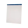 Hot Easel Pad, 27" x 34", 50 Sheets/Pad, 2 Pads/Carton (24-028) Easel Paper Pads