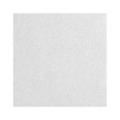 Ceiling Tiles<Armstrong CALLA Health Zone Square Edge Ceiling Tile 9/16, 24" x 48", White, 6/Carton (BP2235)