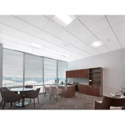 Ceiling Tiles<Armstrong CANYON Beveled Tegular Edge Ceiling Tile, 24" x 24", White, 16/Carton (BP1494A)