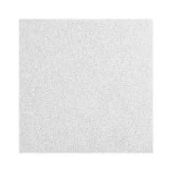 Ceiling Tiles<Armstrong CANYON Beveled Tegular Edge Ceiling Tile, 24" x 24", White, 16/Carton (BP1492A)