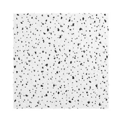 Ceiling Tiles<Armstrong CERAMAGUARD Fine Fissured Square Lay-In Edge Ceiling Tile, 24" x 24", White, 12/Carton (BP607A)