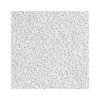 Ceiling Tiles<Armstrong CIRRUS High NRC Tegular Edge Ceiling Tile, 24" x 24", White, 10/Carton (BP558E)