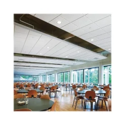 Ceiling Tiles<Armstrong CIRRUS High NRC Tegular Edge Ceiling Tile, 24" x 24", White, 10/Carton (BP558E)