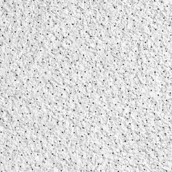 Ceiling Tiles<Armstrong CIRRUS High NRC Tegular Edge Ceiling Tile, 24" x 24", White, 10/Carton (BP556E)