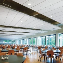Ceiling Tiles<Armstrong CIRRUS High NRC Tegular Edge Ceiling Tile, 24" x 24", White, 10/Carton (BP556E)