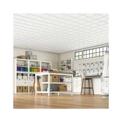 Ceiling Tiles<Armstrong CIRRUS Profiles Tegular Edge Ceiling Tile 15/16, 24" x 24", White, Dozen (BP628B)