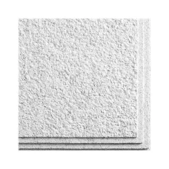 Ceiling Tiles<Armstrong CIRRUS Profiles Classic Step Tegular Edge Ceiling Tile, 24" x 24", White, 12/Carton (BP591B)
