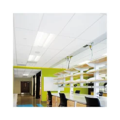 Ceiling Tiles<Armstrong CLEAN ROOM VL Square Lay-In Edge Ceiling Tile, 24" x 48", White, 8/Carton (BP870B)